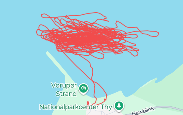 Wingfoil Track vor Norre Vorupor